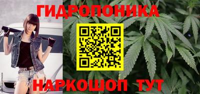 шишки Гусев