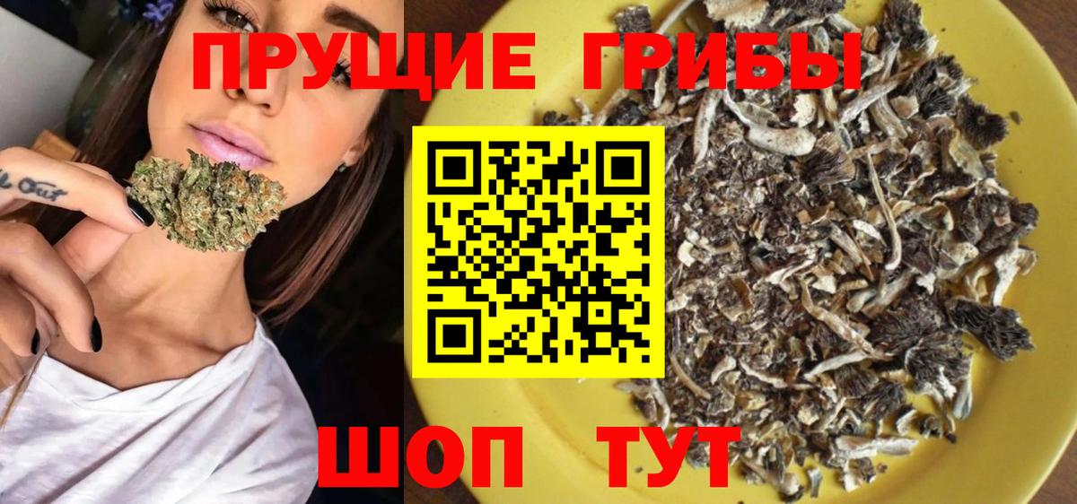 Галлюциногенные грибы мухоморы Дагестанские Огни