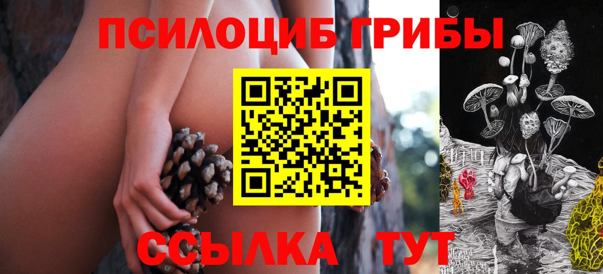Дагестанские Огни  Псилоцибиновые грибы Psilocybe  Вход с VPN 