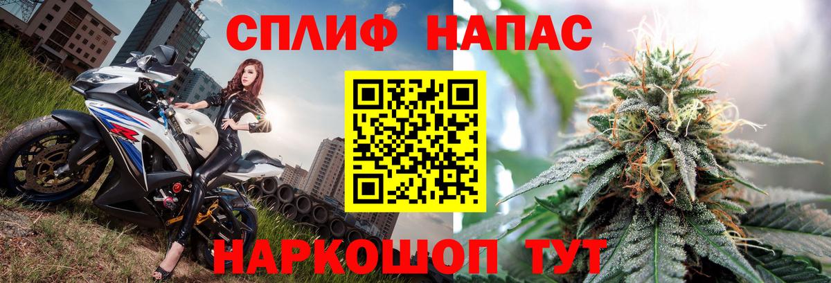 Марихуана конопля Дагестанские Огни